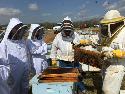 EDMUNDS CENTRAL LEARN ABOUT NEW BEE COLONY FORMATION IN MISSISSIPPI